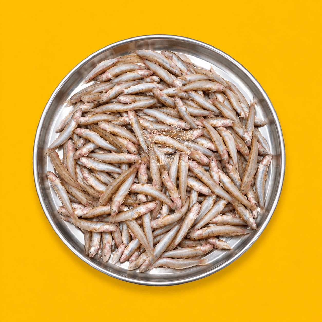 Poddar Chew Bele | Kg