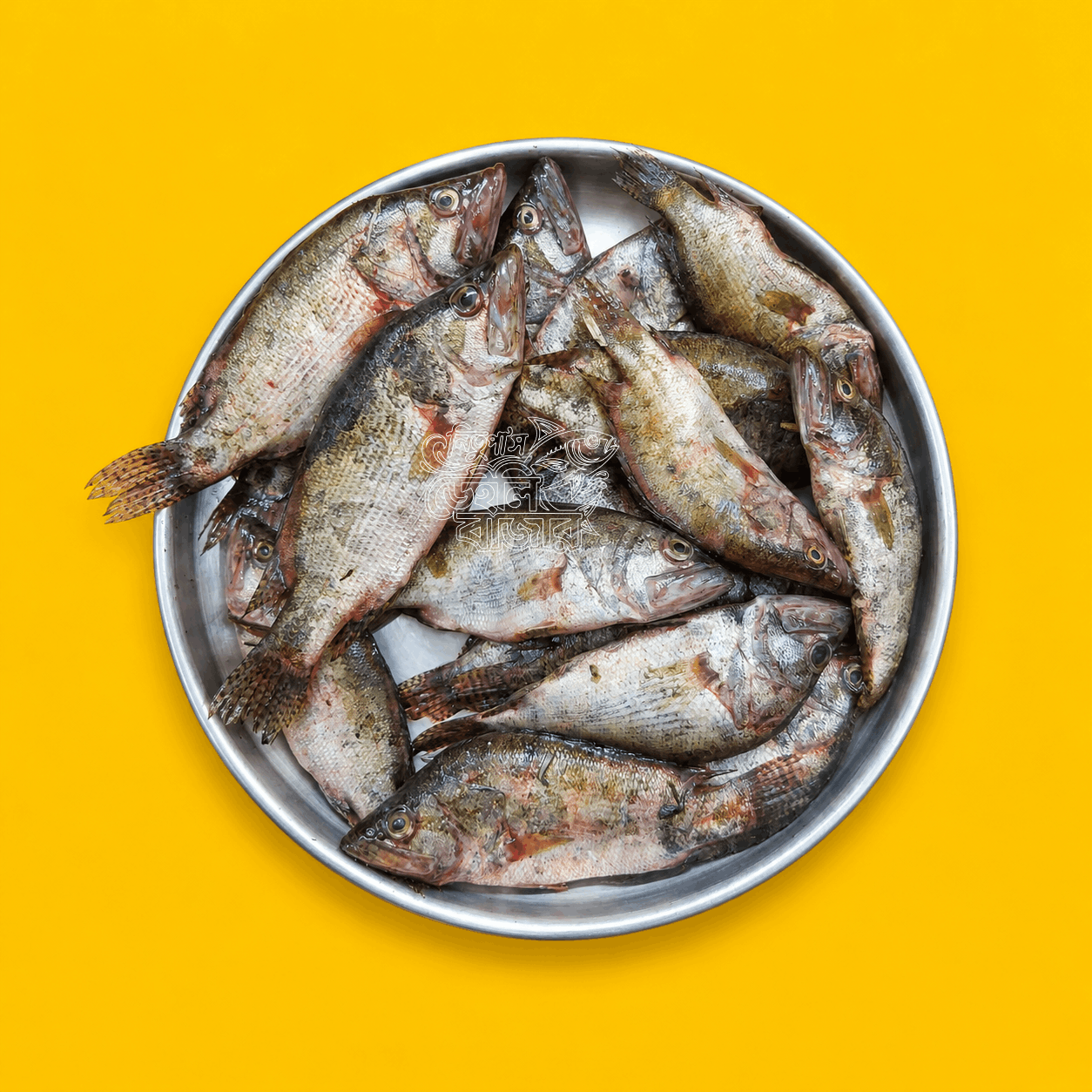 Meni Fish | 500Gm