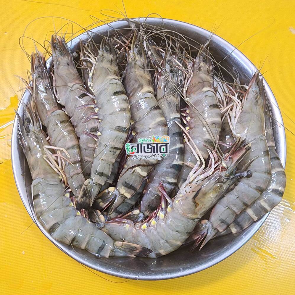 Bagda large 18-20pcs raw | Kg
