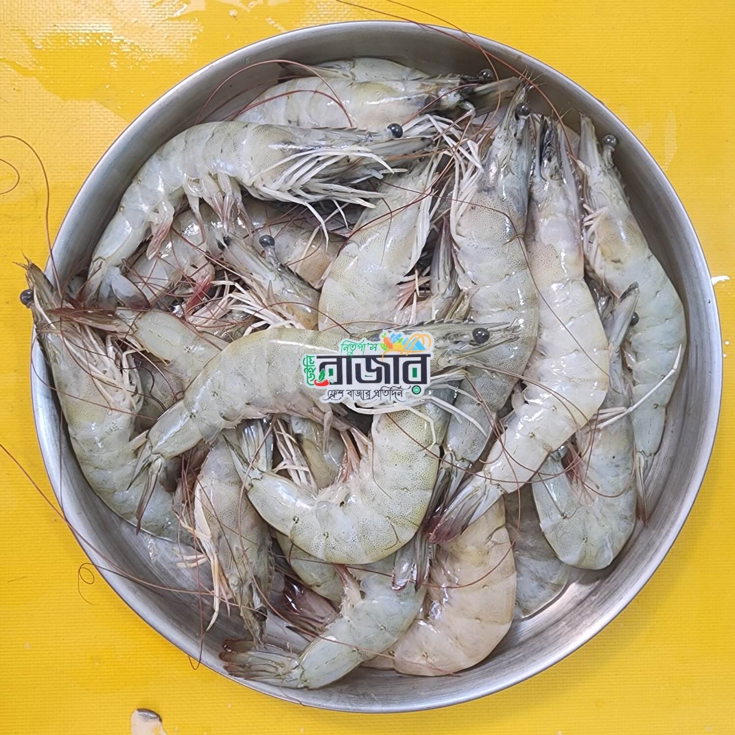 Chaka Shrimp Large | Kg