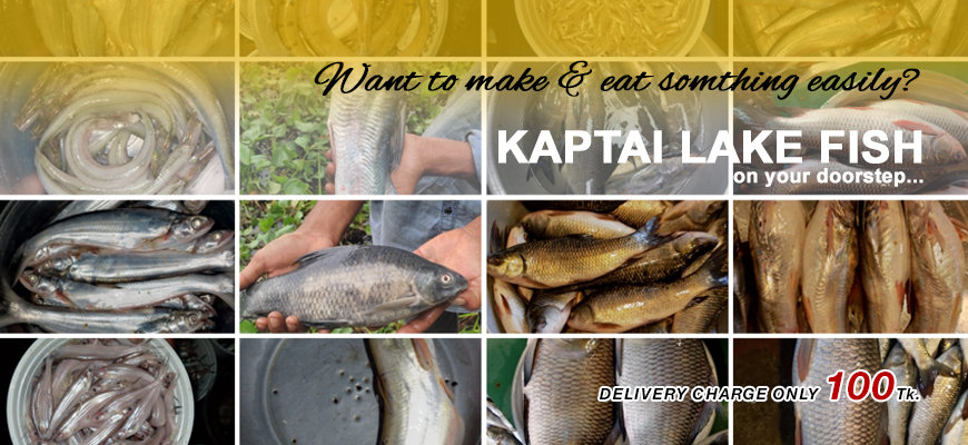 Kaptai Lake Fish | কাপতাই লেক